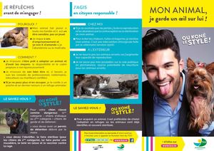 Flyer Errance Animale 2017