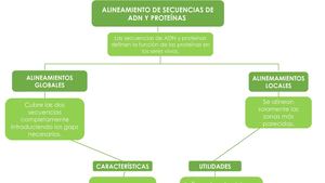 Mapa conceptual