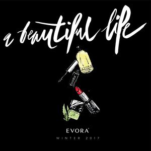 Catalogue De Noël 2017 Evora France