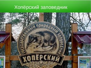 Новохоперский заповедник