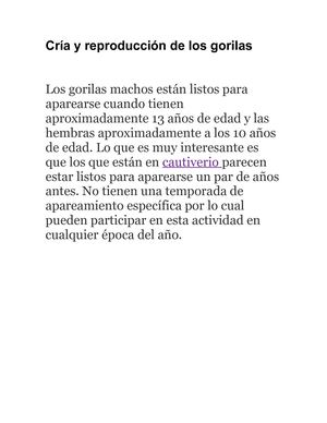 Cría Y Reproducción De Los Gorilas
