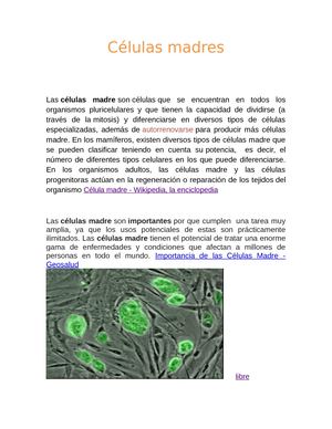 Las Celulas Madres