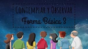 Contemplar Y Observar Expo 2
