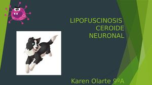 LIPOFUSCINOSIS CEROIDE NEURONAL