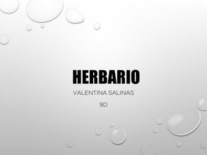 Herbario Kms Pptx