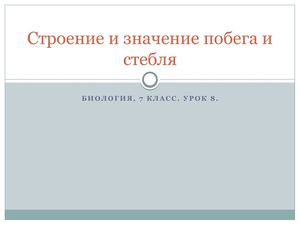 Био 7 Стебель урок 8