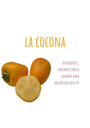 Calaméo - La Cocona