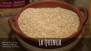 La Quinua