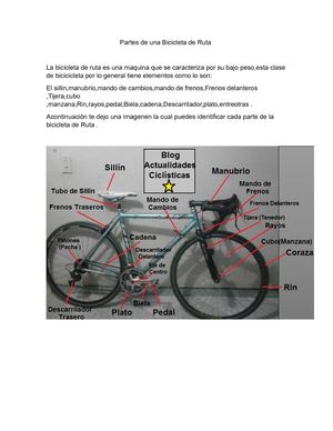 Partes De Una Bicicleta De Ruta