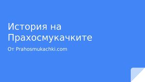 Prahosmukachki.com - История на Прахосмукачките