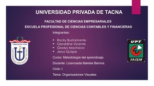 Organizadores Visuales (1)