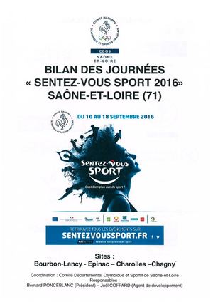 Bilan 2016 Svs