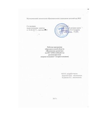 Рабочая программа образовательной области Физическое развитие