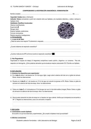 Laboratorio 4to Levaduras
