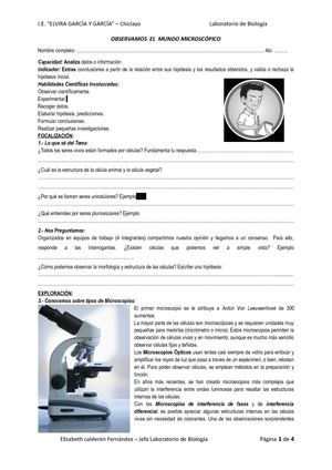 Laboratorio 4to Celula