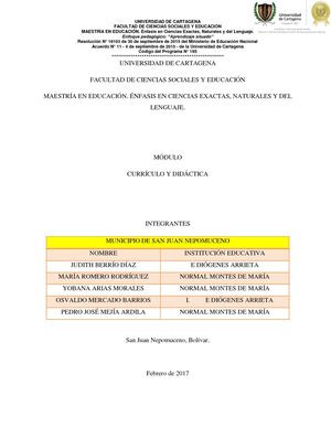 Ensayo Currículo Y Didáctica