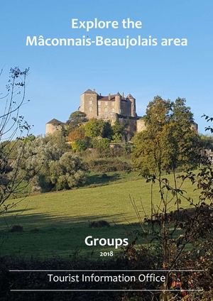 Groups 2018 (English)