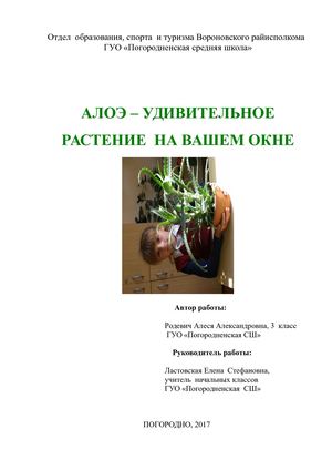 Алоэ- удивительное растение
