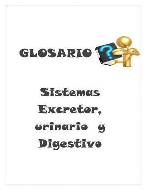 Glosario Sistema Urinario, Excretor Y Disgestivo