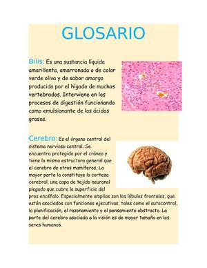 Glosario
