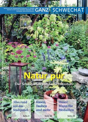 November / Dezember 2017