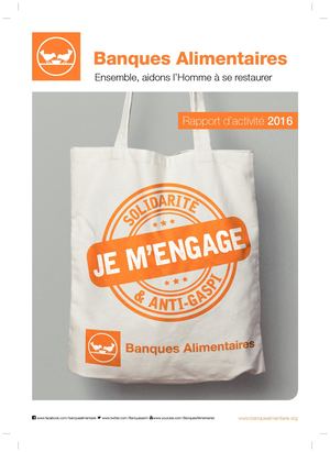 Rapport Annuel 2016