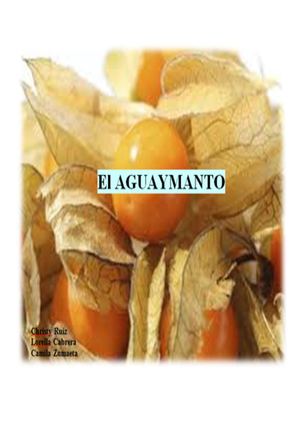 Aguaymanto