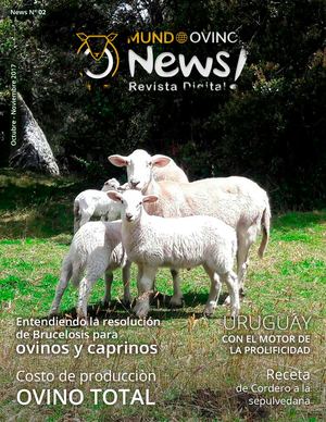 MUNDO OVINO NEWS ED. 02