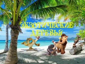 Экзотические деревья