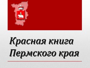 красная книга