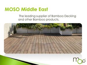 Moso Middle East