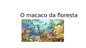 O Macaco Da Floresta