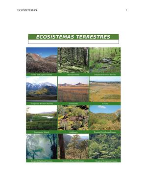 Ecosistemas Terrestres Calameo
