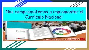 Aspectos a Priorizar sobre el Currículo Nacional