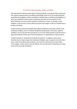 En El Vientre Materno