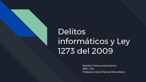 Delitos Informáticos Y Ley 1273 Del 2009