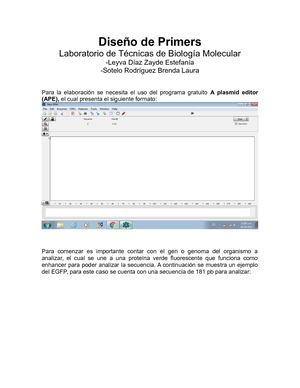 Manual para el diseño de Primers