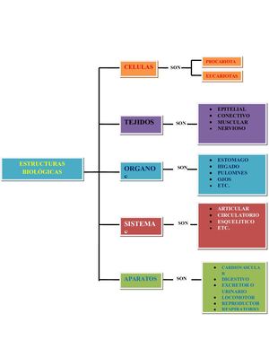 Estructuras Biologicas