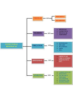 Estructuras Biologicas