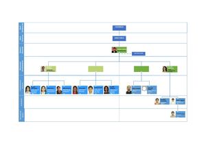 Fundación Profin Organigramas