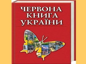 Червона Книга
