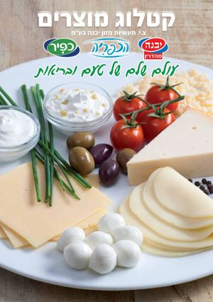 Kfir Brochure 20 Pages A4