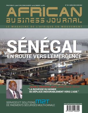 African Business Journal N°10