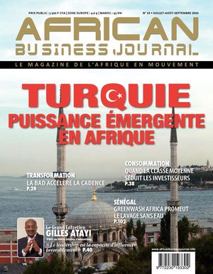 African Business Journal N°19
