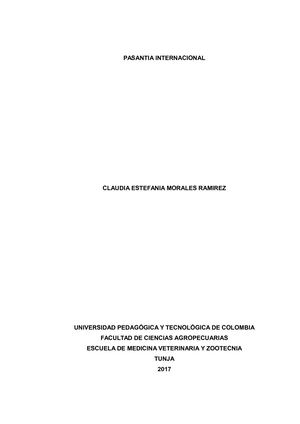 Documento Pasantia