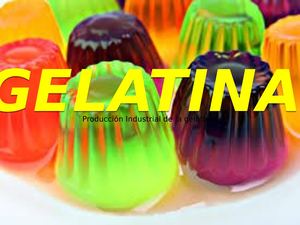 Produccion Industrial De La Gelatina