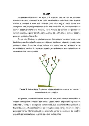 Flora Na Era Paleozoica