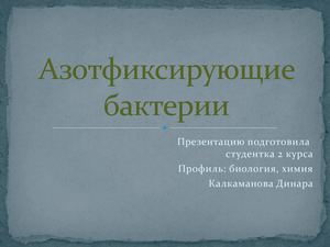 Калкаманова Азотфиксирующие бактерии