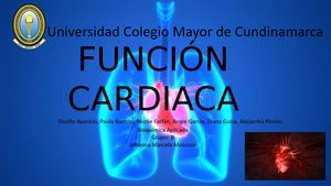 Función Cardiaca