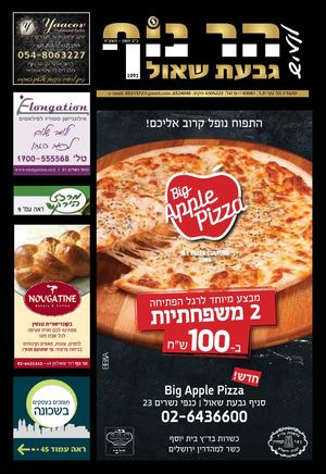 לינק 1091 הר נוף